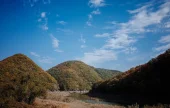 盤龜臺