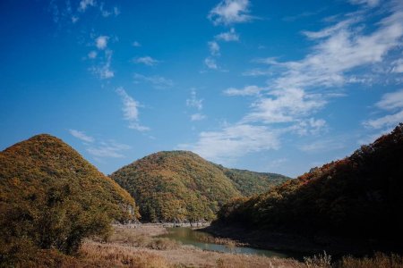 盤龜台