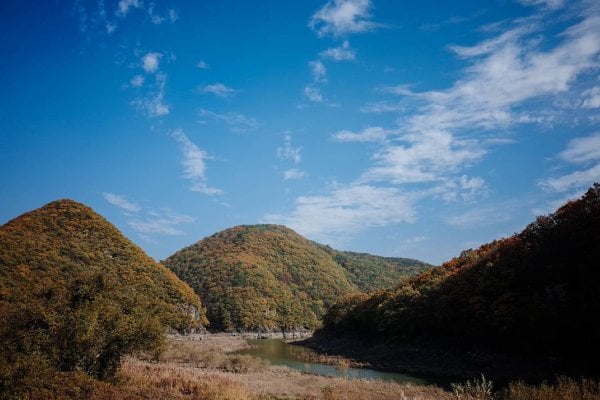 盤龜台