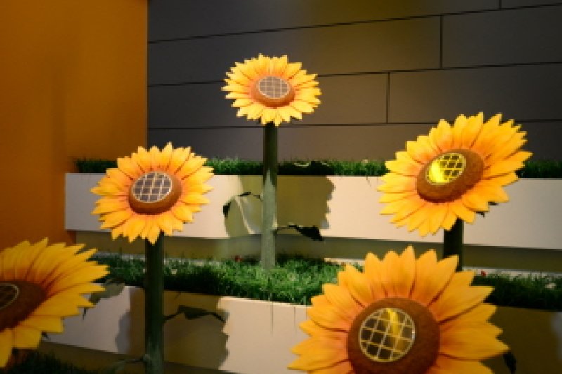 盈德新再生能源展示館  (10/10)