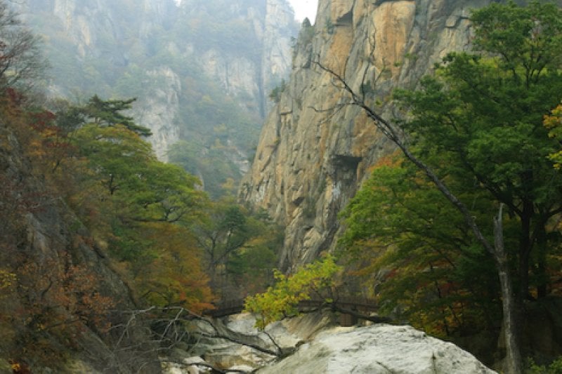 雪嶽山國立公園 (9/11)