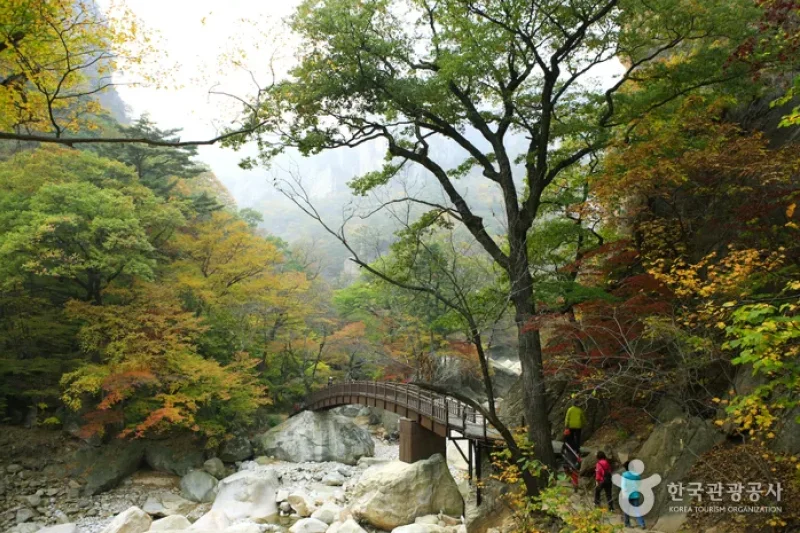 雪嶽山國立公園 (11/11)