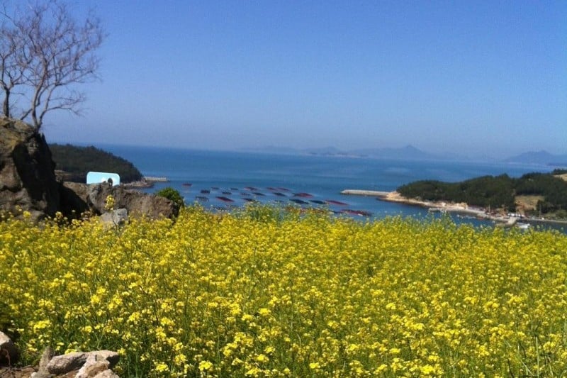 全南莞島青山[慢城]