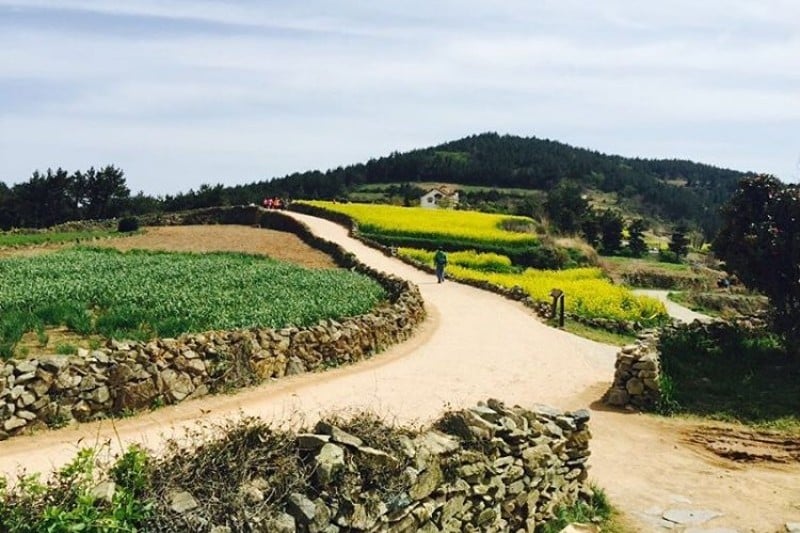 全南莞島青山[慢城]