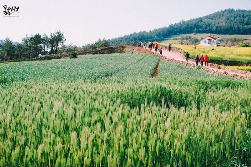 全南莞島青山[慢城]