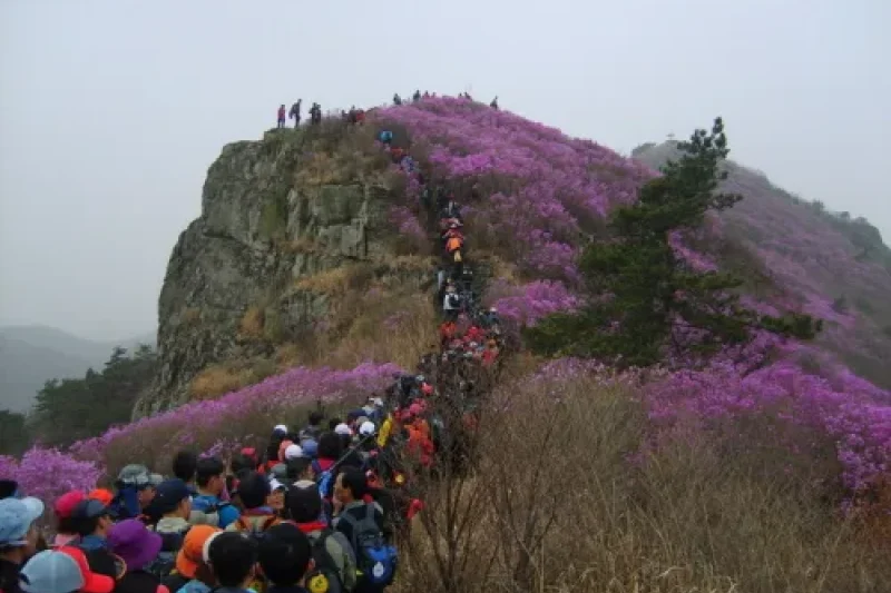 靈鷲山 (3/6)