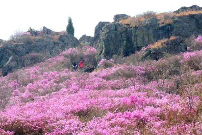 靈鷲山 (4/6)