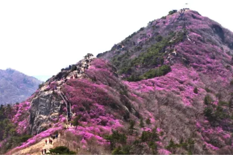 靈鷲山 (5/6)