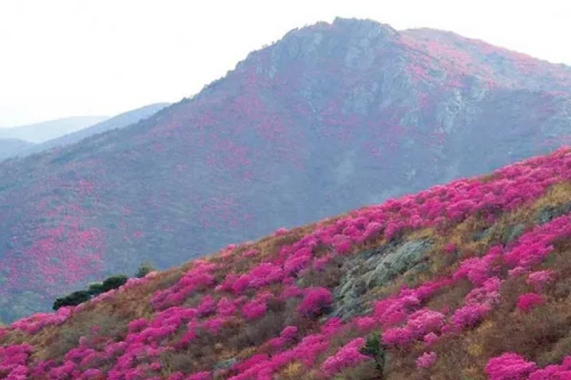 靈鷲山 (6/6)