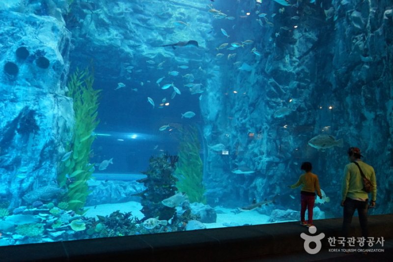 樂天世界水族館
