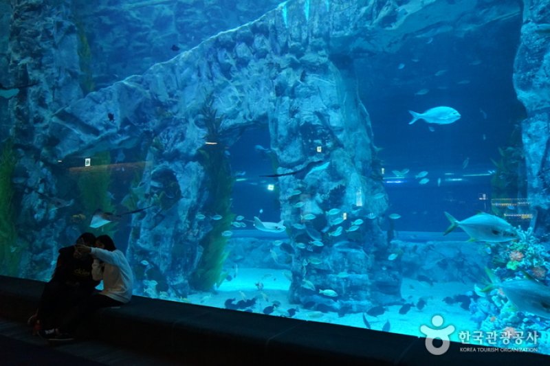 樂天世界水族館
