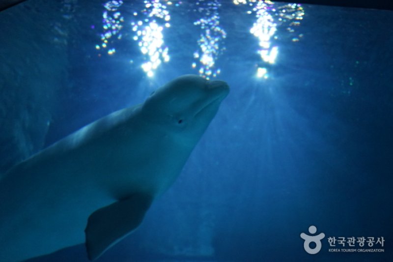 樂天世界水族館