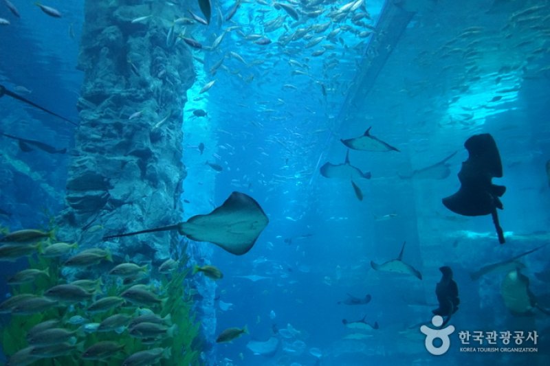 樂天世界水族館