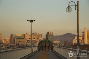 龍踏站天橋