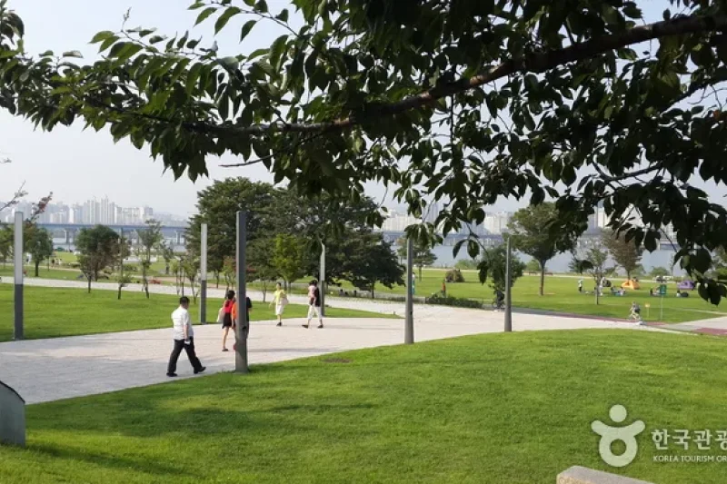 漢江市民公園汝矣島地區