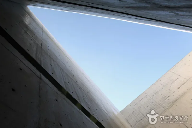 MUSEUM SAN (2/6)