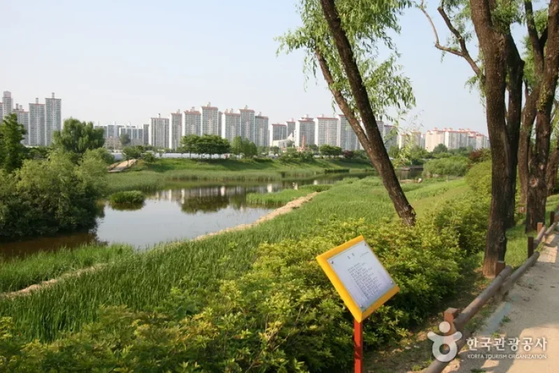 長子湖水公園