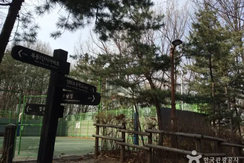 龍王山近鄰公園