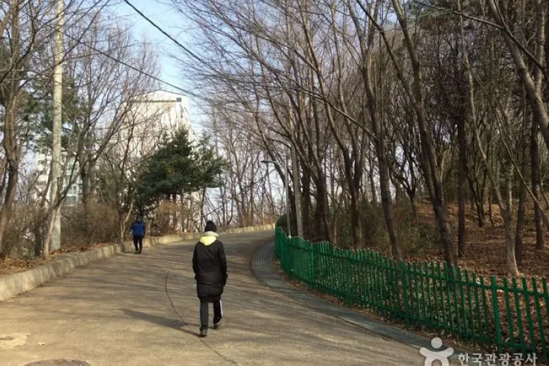 龍王山近鄰公園