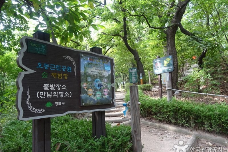 梧桐近鄰公園