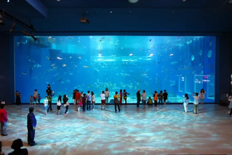濟州Aqua Planet海洋世界
