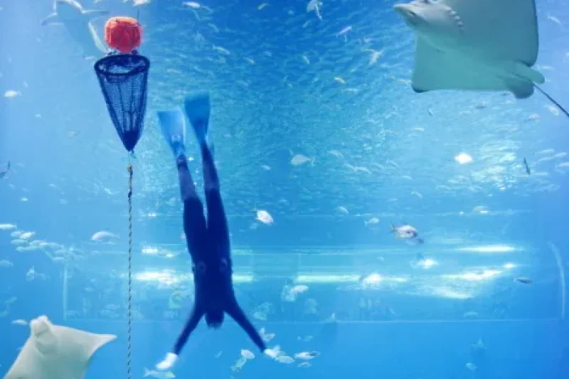 濟州Aqua Planet海洋世界