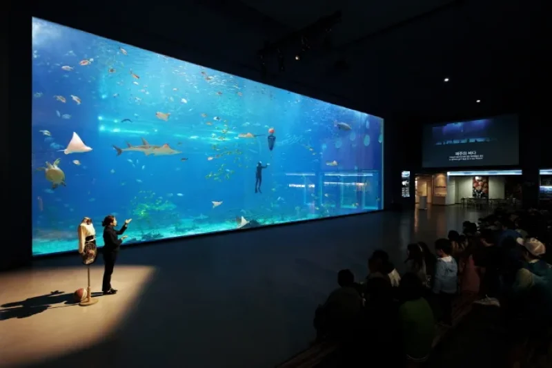 濟州Aqua Planet海洋世界