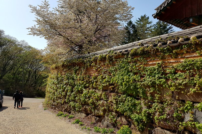 普光寺