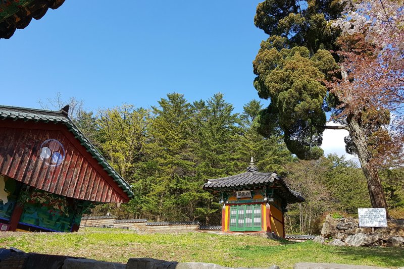 普光寺