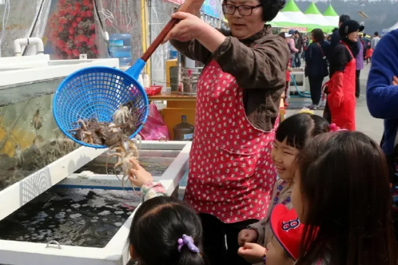 舒川山茶花短爪章魚節