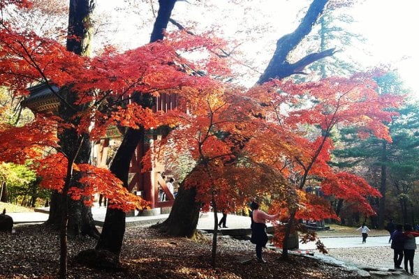 伽倻山國立公園