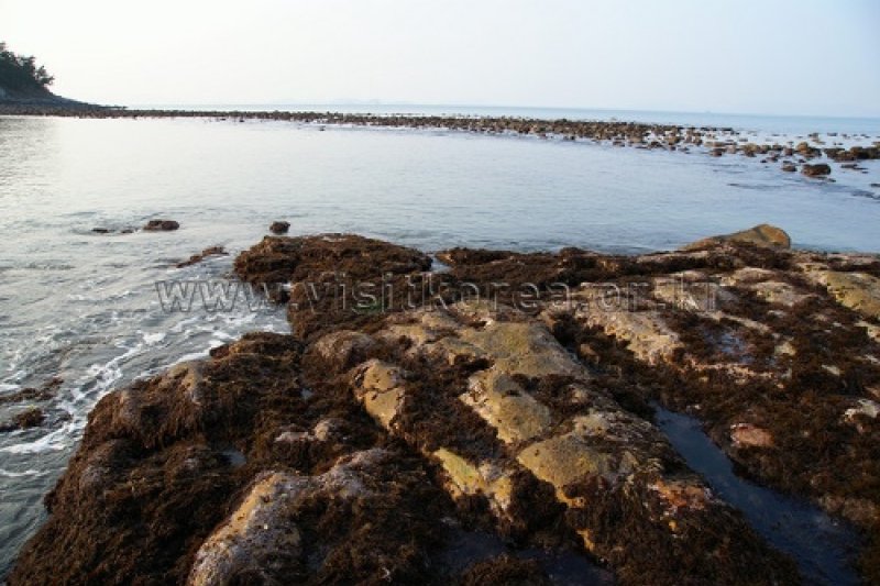 草島