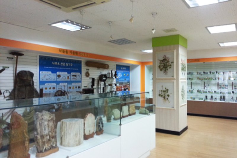 蔚山野花學習園