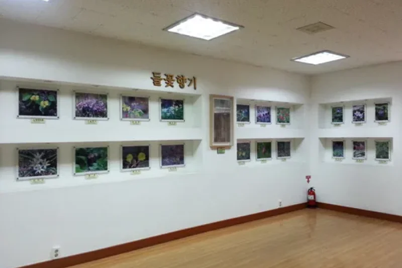 蔚山野花學習園