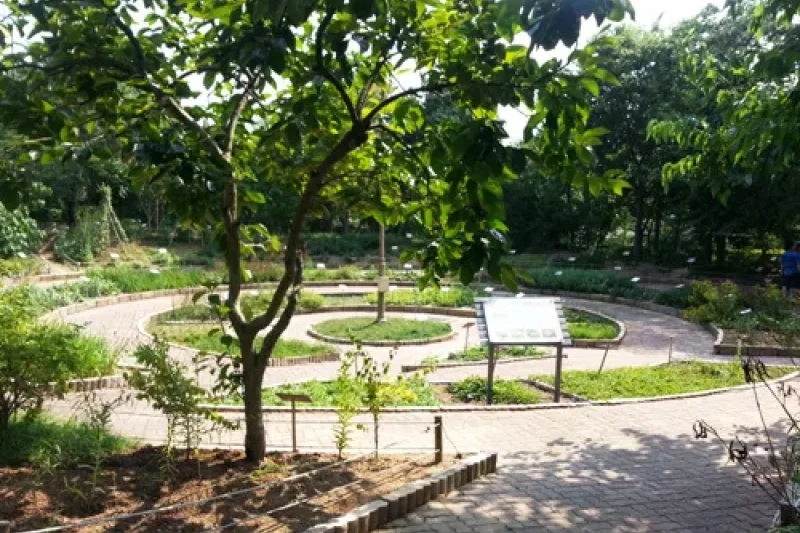 蔚山野花學習園