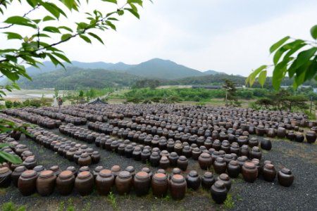 安東河回大醬村