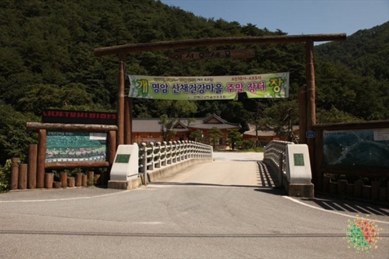 明岩山菜健康村