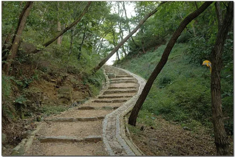 松脊路 (2/6)