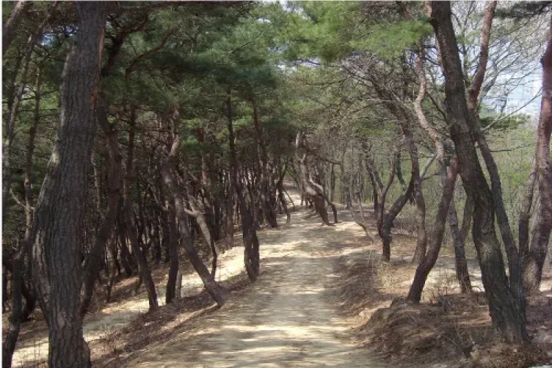 松脊路 (5/6)