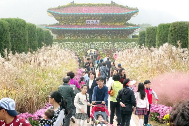 大韓民國菊香節
