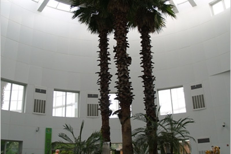 富川植物園