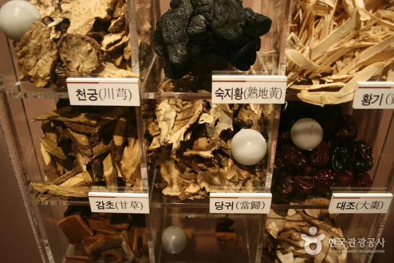 大邱藥令市韓醫藥博物館