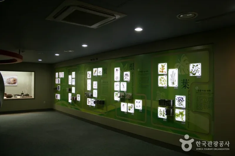 大邱藥令市韓醫藥博物館