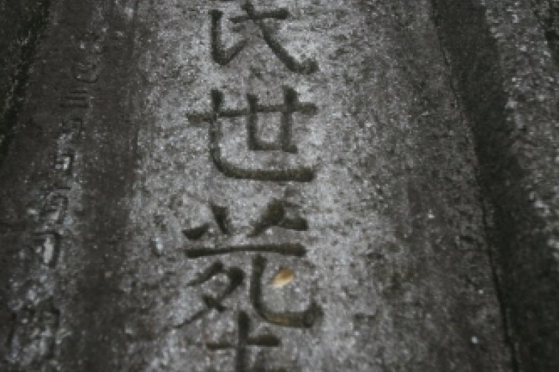 和順支石墓群[UNESCO世界文化遺產] (10/14)