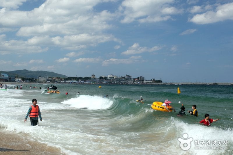 鯨魚角海水浴場 