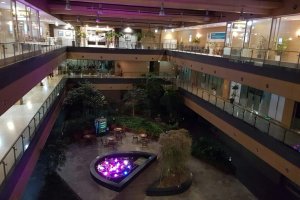The SPA in Garden 5