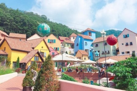 ★皇牌★南怡島一天團C