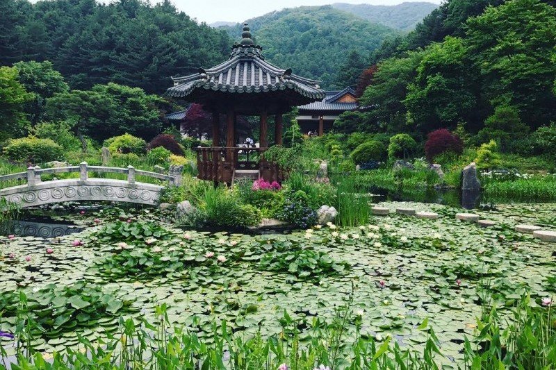 ★皇牌★南怡島一天團F