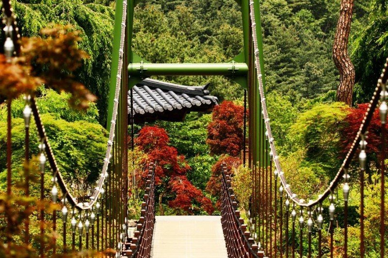 ★皇牌★南怡島一天團F
