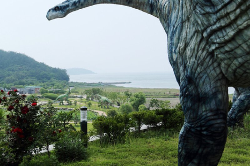 牛項里恐龍化石自然史遺址 (11/16)